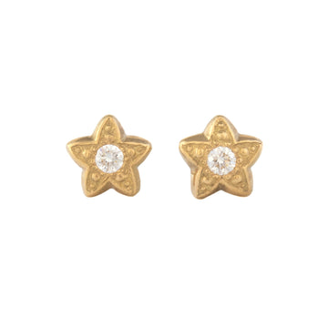 Delicate Star Earrings